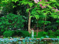 -西双版纳傣族园