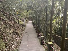 -缙云山景区