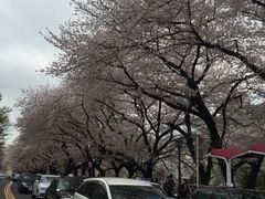 -名古屋城