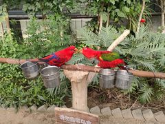 -南宫五洲植物乐园