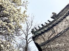 -天津盘山风景名胜区