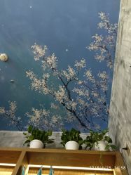 -木北护肤造型