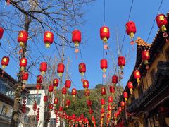 -亭林园-华藏寺