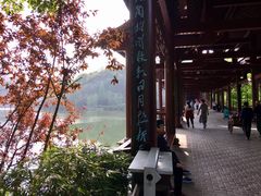 -重庆彩云湖湿地公园