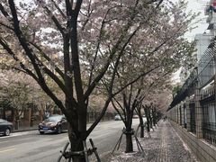 -永乐路-路侧停车场