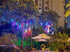 -老洋房花园饭店(绍兴路店)