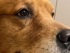 -邢大夫动物医院