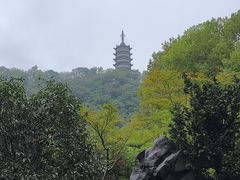 -焦山风景区