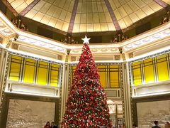 -上海和平饭店华懋阁 Cathay Room