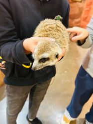 -Zoolung Zoolung动物主题公园(海信广场店)