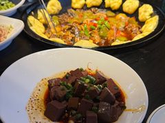 -洪湖家庭农场·团建·露营·会议