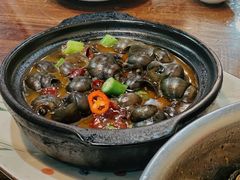 田螺煲-新洞口小吃(三元二路店)