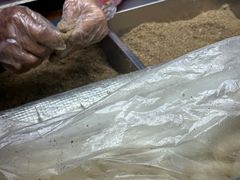 -叶氏麻糍(鼓浪屿店)