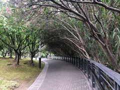 -苏州河梦清园环保主题公园