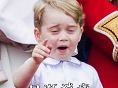 -越南牛肉河粉餐厅(书院巷店)