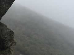 iphone_upload_pic-岣嵝峰国家森林公园