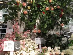 -宜家家居(哈尔滨商场店)