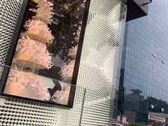 -BLACKSWAN黑天鹅(环球店)