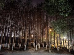 -乌村