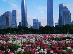 -海心沙亚运公园