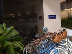 -新加坡文华东方酒店