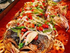 -风鑫铃罗非鱼(道沟店)
