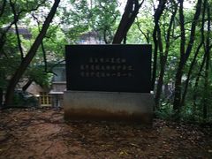 -马王堆汉墓遗址