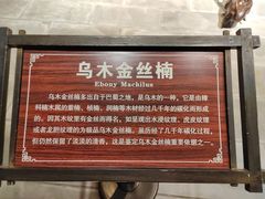 -乐山乌木文化博览苑