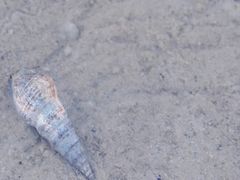 -北海金海湾红树林生态旅游区