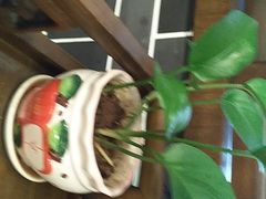 -乡坝头外婆菜(东方欧城仁寿七分店)