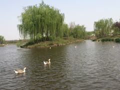 -骏途旅游