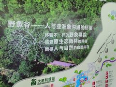 -野象谷景区