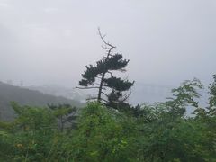 -西尖山公园