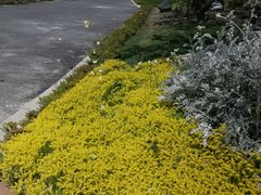 -中国天府农业博览园