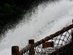 -广州白江湖森林公园