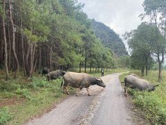 -Club Med地中海俱乐部·桂林度假村