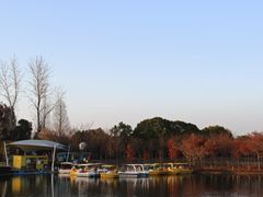 -太阳岛度假酒店