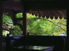 -江心屿景区