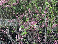 -仙海旅游度假区