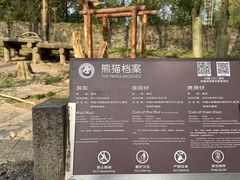-都江堰中华大熊猫苑