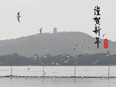 -渤公岛生态公园