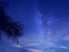 -牡丹游泳馆(金山馆)