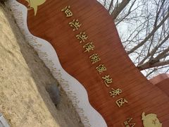 -泗洪洪泽湖湿地景区