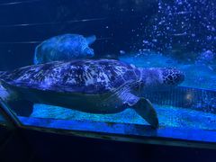-海合安青岛极地海洋公园