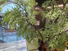 -君之狮子山·轻糖烘焙(松江印象城店)