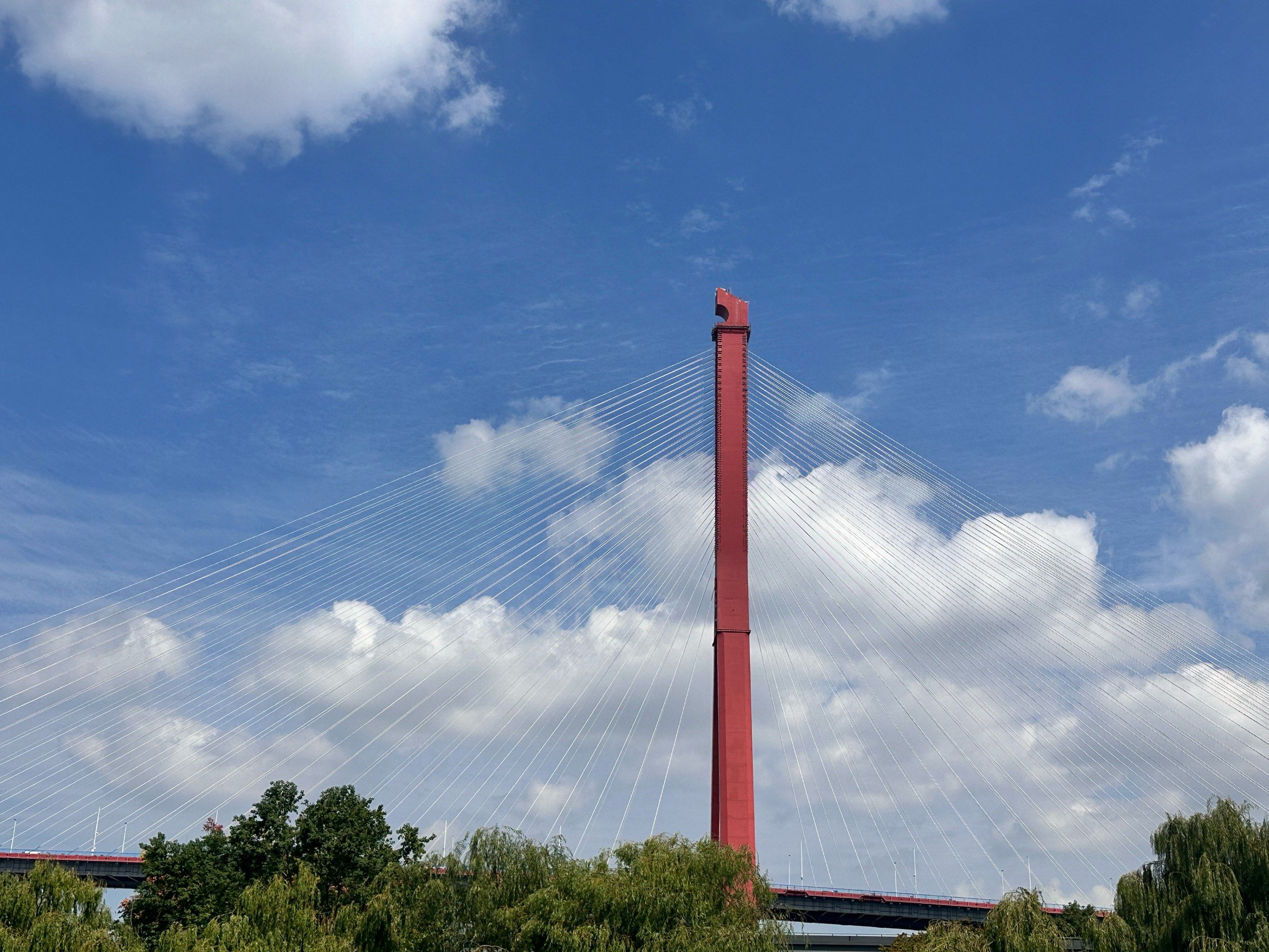see luijiazui 杨浦滨江