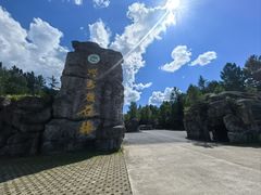-汤旺河林海奇石景区