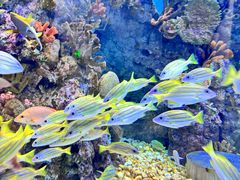 -成都浩海立方海洋公园