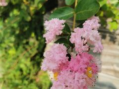 -龙湖星悦荟(颐和店)