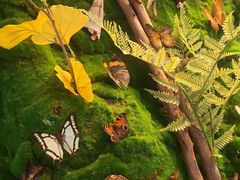 -惠州西湖风景名胜区-丰渚园